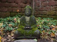 Buddha Statue